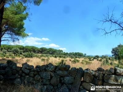 Puentes romanos Valle del Tiétar; rutas por madrid;rutas cerca de madrid;rutas de senderismo madrid